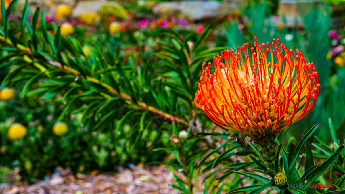 Royal Botanical Gardens, Sydney Royal Botanical Gardens, Sydney